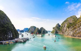 Hơn 10 triệu đồng cho tour thăm đảo Đầu Lâu