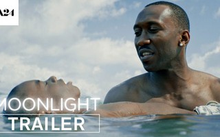 “Moonlight”, “Arrival” thắng giải Writers Guild of America