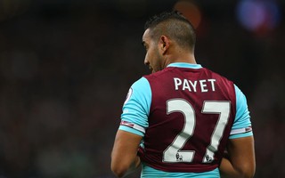 Payet bị chủ tịch West Ham chỉ trích