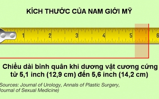 Khẩu pháo ta xài là dài hay ngắn?