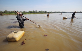 Tuyệt kỹ săn lươn ở Quảng Nam