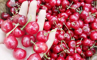 Cherry Trung Quốc 90 ngàn đồng/kg bán tràn lan