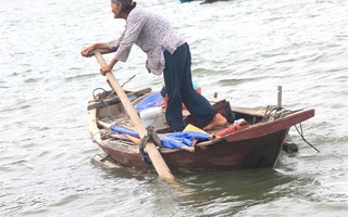 Những nữ ngư dân "sát cá" số 1 ở Hà Tĩnh