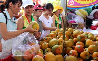 Trung Quốc gom mua 3/4 lượng rau quả Việt Nam