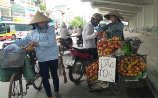 Thị trường trái cây bao giờ được quản lý?