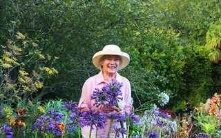 Chốn bình yên bên vườn hoa đẹp như thiên đường của bà lão 83 tuổi