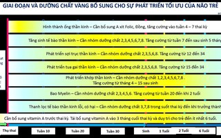 Dinh dưỡng vàng cho phát triển não bộ trong những năm tháng đầu đời