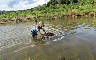 Chiêu độc săn cá suối của trẻ em vùng cao Nghệ An