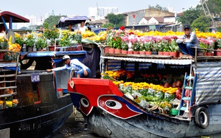 Đến 6 phiên chợ này là thấy Tết