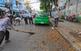 Nghề độc lạ bậc nhất Sài Thành