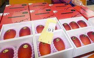 Những trái cây Nhật giá tiền triệu khi về Việt Nam