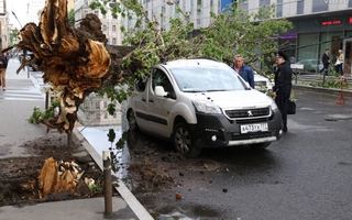 Bão mạnh tàn phá Moscow