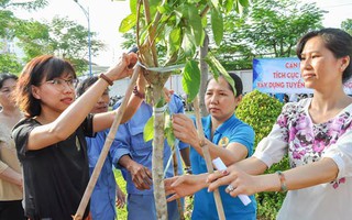 CNVC-LĐ trồng cây, bảo vệ môi trường