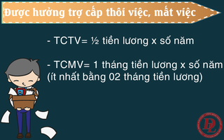 Nghỉ việc trái luật không được trợ cấp