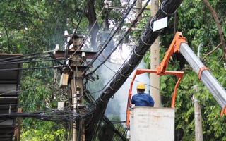 Nhánh cây gãy gây chập điện tại trung tâm Sài Gòn