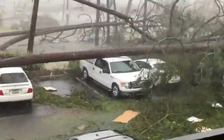 Mỹ: Cận cảnh “bão khủng khiếp nhất 100 năm” càn quét bang Florida