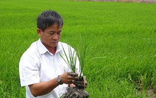 Nông dân bám đất làm giàu