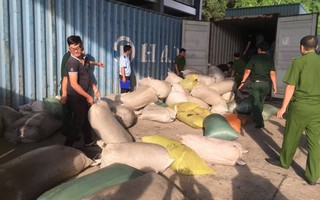 Phát hiện hơn 10 tấn ngà voi và vảy tê tê nhập lậu