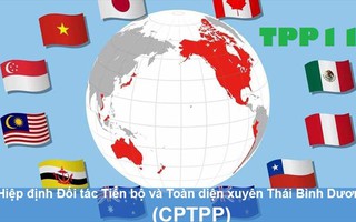 Việt Nam chính thức tham gia CPTPP