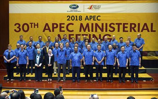 Dấu ấn Việt Nam sau 20 năm gia nhập APEC