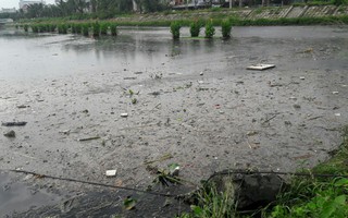 Đà Nẵng: Dân kêu trời vì kênh, hồ điều tiết gây ô nhiễm triền miên