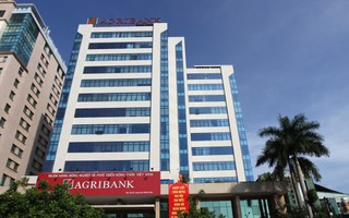 Nhóm Việt kiều Thái Lan muốn chi hơn 500 tỉ đồng mua công ty đang thua lỗ của Agribank