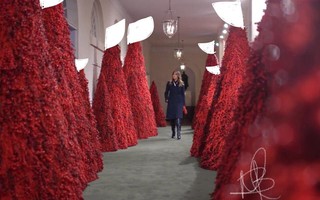 Bà Trump bị chỉ trích vì những cây thông Giáng sinh đỏ rực trong Nhà Trắng