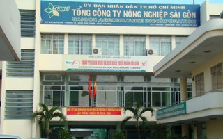 Kỷ luật cảnh cáo Kế toán trưởng Tổng Công ty Nông nghiệp Sài Gòn