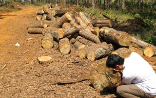 Đồng ý miễn nhiệm chủ tịch huyện nhiều tai tiếng