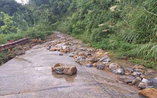 Bán đảo Sơn Trà sạt lở nghiêm trọng