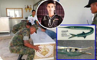 Tập trận, binh sĩ Thái bị cá cắt cổ tử vong