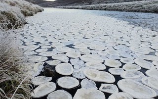 Lạ lùng “bánh kếp băng” phủ kín dòng sông Scotland