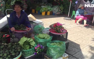 Ghi nhanh: Con đường trầu cau giữa lòng TP HCM
