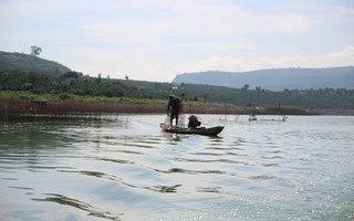 Tết không quê hương