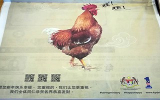 Malaysia xin lỗi vì để "gà sủa gâu gâu"