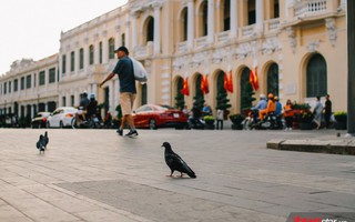 Không ồn ào vội vã, Sài Gòn - Hà Nội được trả lại vẻ yên bình trong ngày mùng 1 Tết