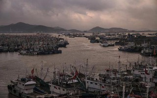 Tàu cá Trung Quốc lộng hành (*): Vét cạn biển Tây Phi