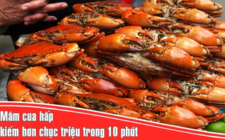 Ghi nhanh: Mâm cua hấp kiếm hơn chục triệu trong 10 phút