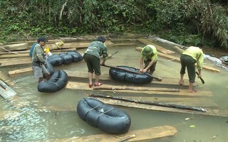 Phát hiện vụ "xẻ thịt" rừng phòng hộ lớn nhất tỉnh Quảng Bình