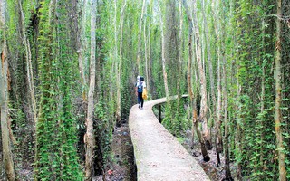 Thảnh thơi “đường tình yêu” ở Tân Lập