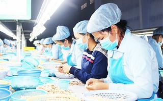 Khánh Hòa: 500 công nhân được làm việc trở lại