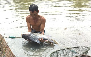 Nuôi loài cá suýt tuyệt chủng, thành tỷ phú