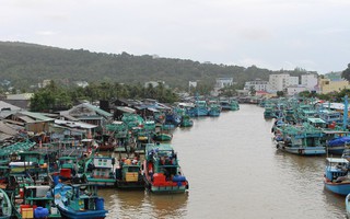 Phó Thủ tướng yêu cầu thanh tra việc quản lý, sử đất nông nghiệp ở Phú Quốc