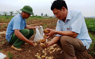 Hàng loạt hợp tác xã "sống mà như chết"(*): Bình mới, rượu cũng phải mới