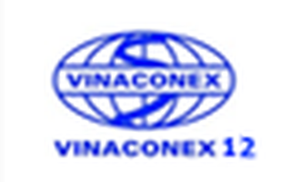 Vinaconex 12 mắc sai phạm về tài chính
