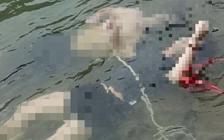 Đôi nam nữ chết trong tư thế nắm chặt tay nhau dưới hồ