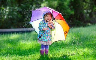 Nước mưa cũng làm trẻ dị ứng?