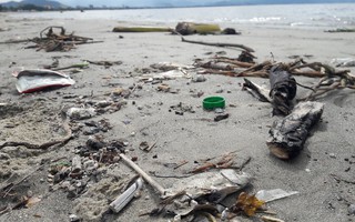 Đà Nẵng: Hơn 5 km bờ biển Nguyễn Tất Thành bị rác thải bủa vây