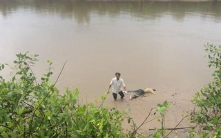 Đi thăm ao cá, tá hỏa phát hiện thi thể trôi trên sông Tiền