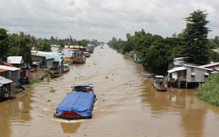 Bình Thành không còn sợ mặn